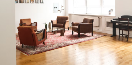 wood flooring in living area with area rug and armchairs